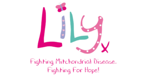 Lily Foundation