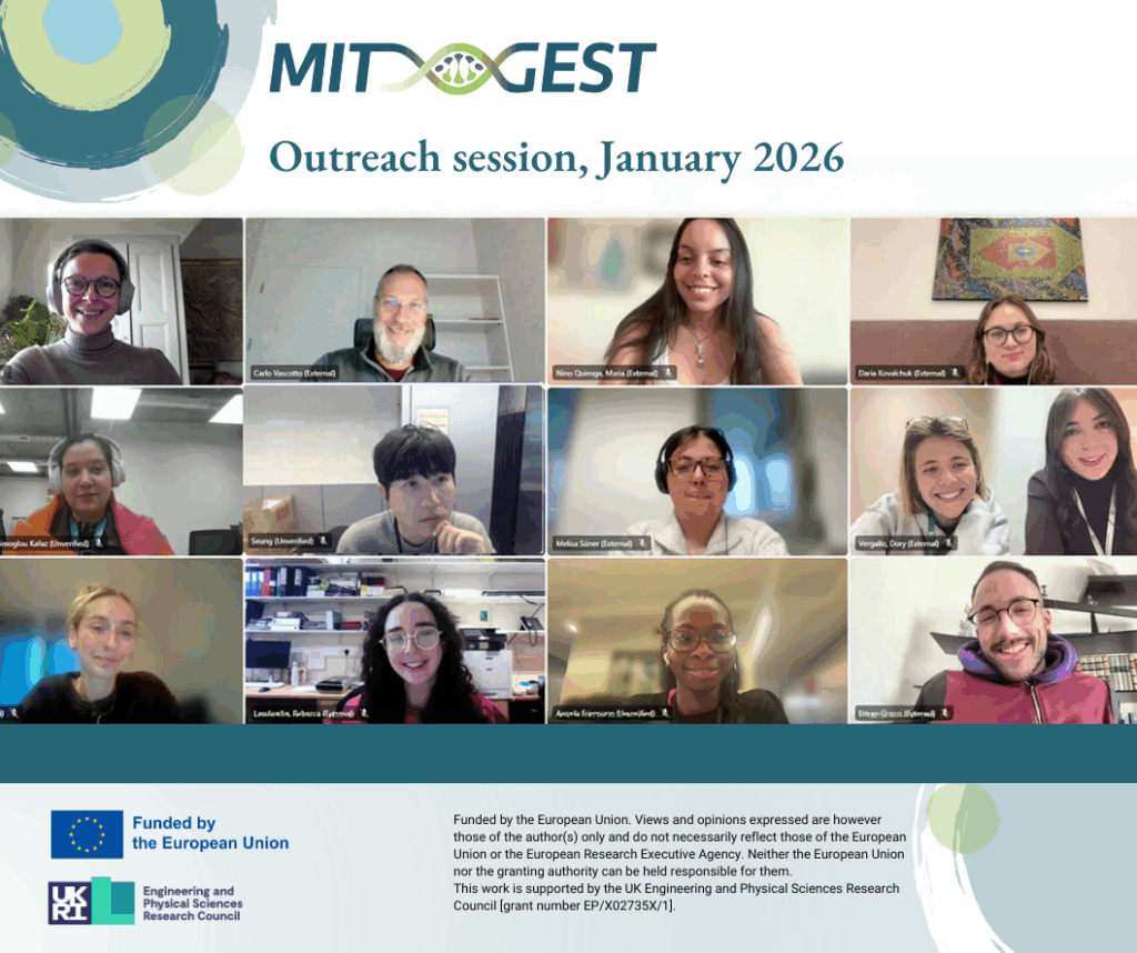 Mitgest group online meeting